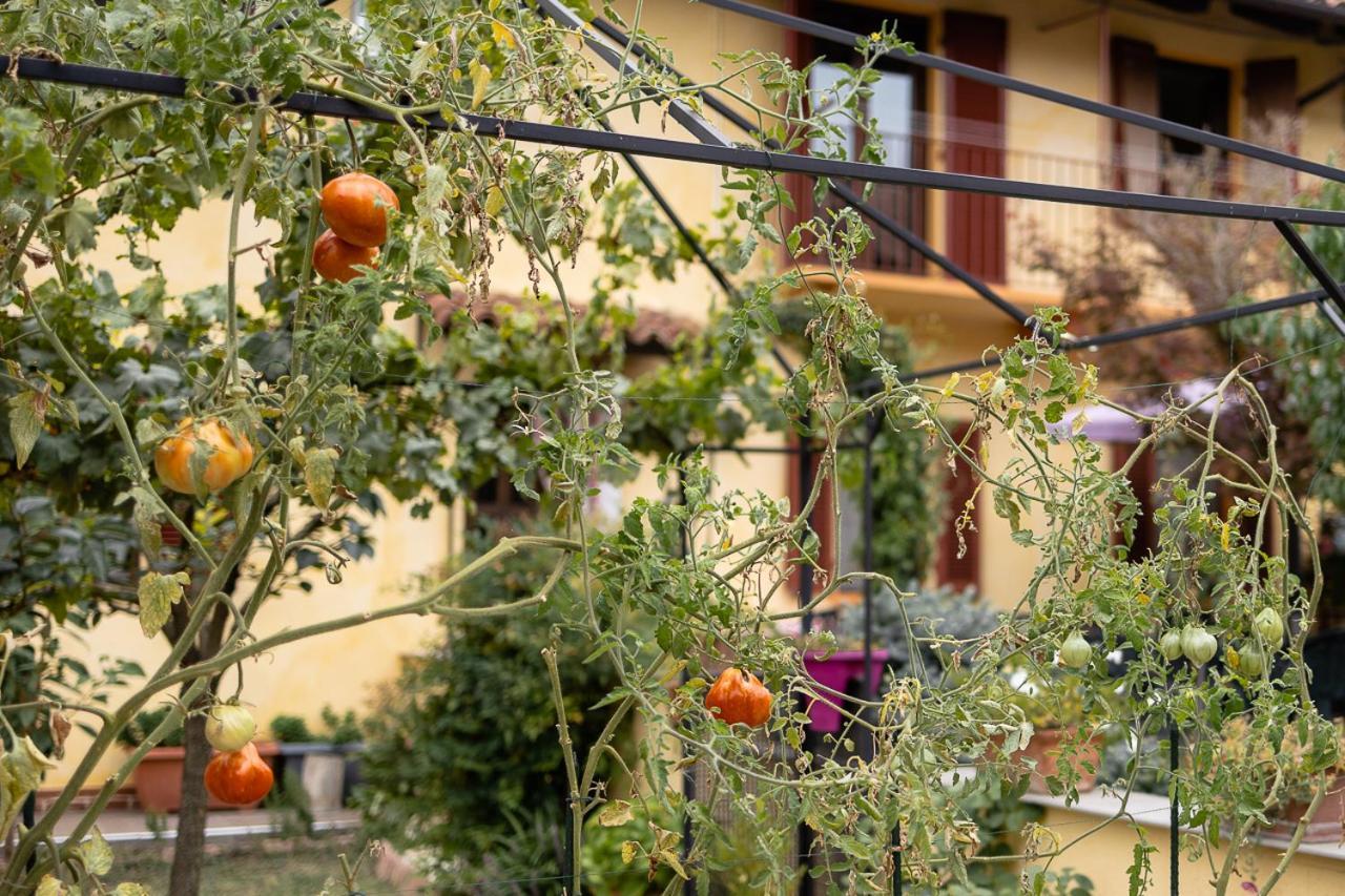 La Valle B&B Асти Екстериор снимка